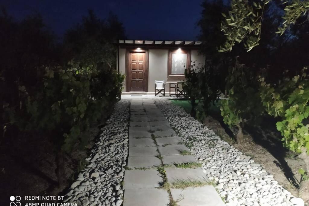 Villa Raisin House Koukounariá Exterior foto